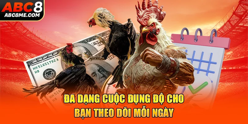 Đá Gà Cựa Dao - Những Trận Đấu Mãn Nhãn Và Đẳng Cấp Nhất 2026 Đa dạng cuộc đụng độ cho bạn theo dõi mỗi ngày