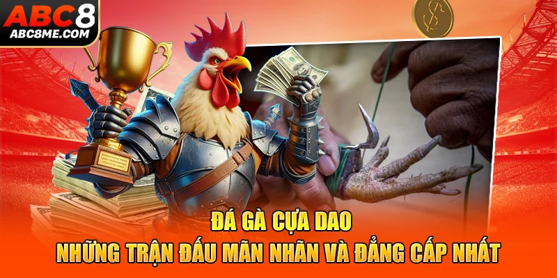 Đá Gà Cựa Dao - Những Trận Đấu Mãn Nhãn Và Đẳng Cấp Nhất 2026 da-ga-cua-dao-nhung-tran-dau-man-nhan-va-dang-cap-nhat-
