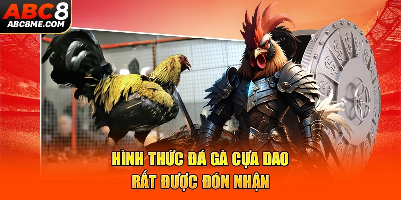 Đá Gà Cựa Dao - Những Trận Đấu Mãn Nhãn Và Đẳng Cấp Nhất 2026 Hình thức đá gà cựa dao rất được đón nhận