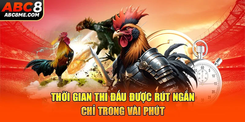 Đá Gà Cựa Dao - Những Trận Đấu Mãn Nhãn Và Đẳng Cấp Nhất 2026 Thời gian thi đấu được rút ngắn chỉ trong vài phút